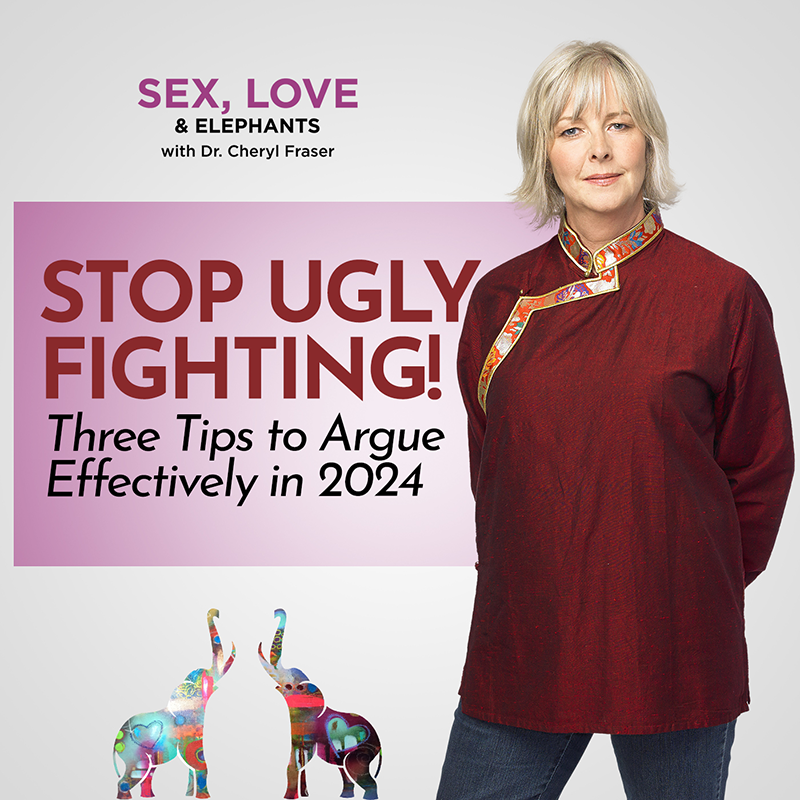 Stop Ugly Fighting! Three Tips to Argue Effectively in 2024 Dr